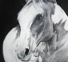 Equestrian Beauty iPhone Case by Carrie Jackson