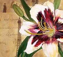 Lily of France iPhone Case by Carrie Jackson
