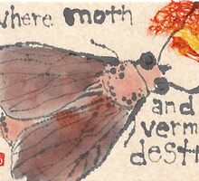 Moth in the Sweater Drawer by dosankodebbie