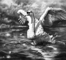 Ride A White Swan by Peter Williams
