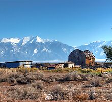 Old homestead in San Luis Valley Colorado by Merja Waters