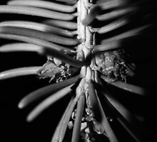 small world 1 by MisterRobinson