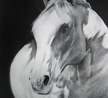 Equestrian Beauty by Carrie Jackson