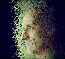 Hard wired by ToastedGhost