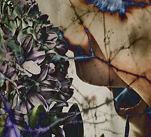 Smell by Edibl3leper