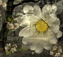 A Godly Blessing by Lozzar Flowers & Art