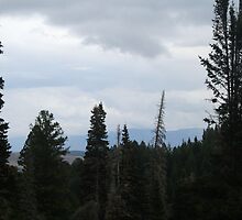 I love the clouds! by Brandee