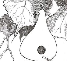 Gourd & Cottonwood by Sally O'Dell