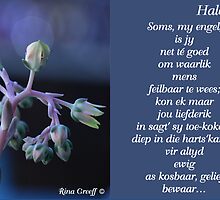 Halo by Rina Greeff