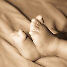 This Little Piggy... by Melody Ricketts