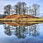 River Brathay Reflections - The Lake District by Dave Lawrance