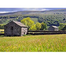 Summer Meadow, Wharfedale - The Yorkshire Dales Photographic Print