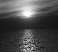 Bird Over Sun by MichaelCouacaud