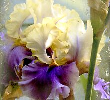 Unheard melodies ... by Chris Armytage™