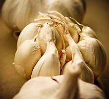Garlics in a Row by Jan Stroup ~ Photojournalist