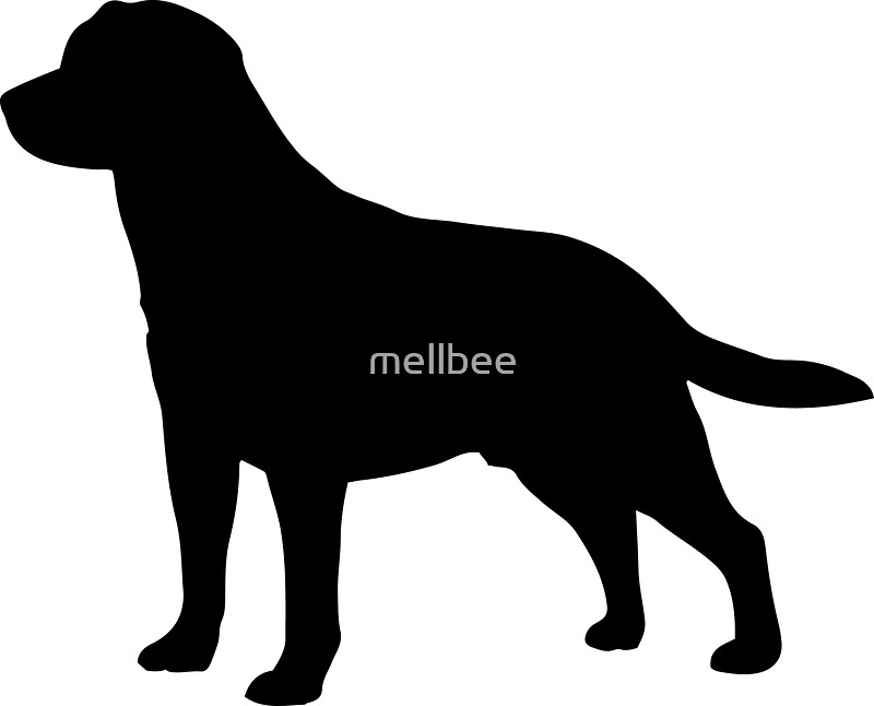 Labrador Stickers Redbubble