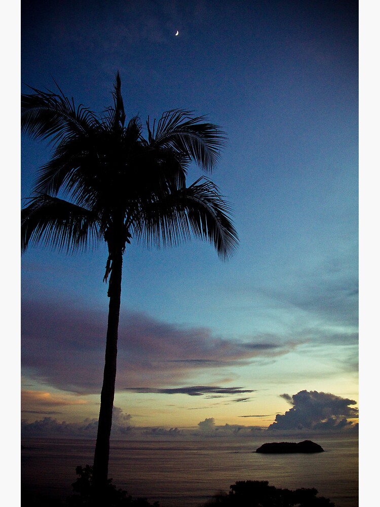 Island Fever Poster For Sale By Scaredylionfoto Redbubble