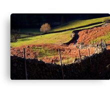 Last Light - Langdale - The Lake District Canvas Print
