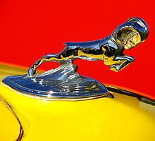 Automotive Bestiary ~ Part Four by artisandelimage