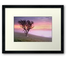 Misty Sunrise, near Kendal, Cumbria Framed Print