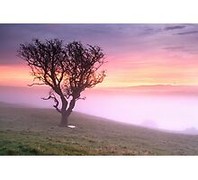 Misty Sunrise, near Kendal, Cumbria Photographic Print