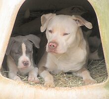 Hey! We're Trying To Sleep! by Ginny York