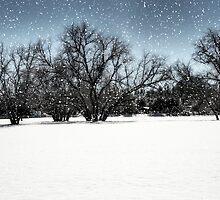 A Dusting of White by Saija Lehtonen