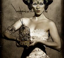 The Pale by Bethalynne Bajema