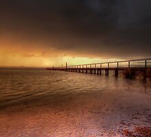 Shining Through by John Morton