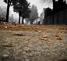 The golden road into oblivion by TLawrencephoto