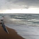 Ocean Whisper by jadennyberg