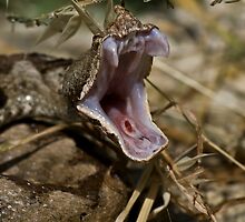 Attack by Vasil Popov