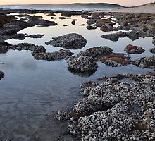 blue holes by Naia