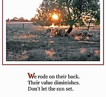 Sunset Sheep Haiku by George Petrovsky