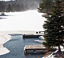 The Dock in Winter by Debra Fedchin