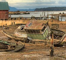 Washed Up by Dale Lockwood