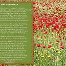 Remembrance - Greeting Card by taiche
