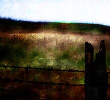 Wired by Robert Worth