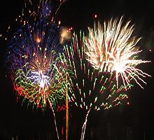 Firework bouquet by justineb