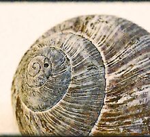 SnailHouse by RosiLorz