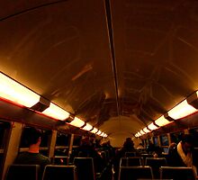 Train to extinction by su2anne