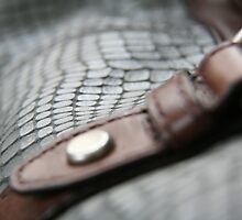 Blue leather I by LynnEngland