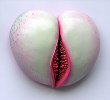 Ripening by Paul Brandwein