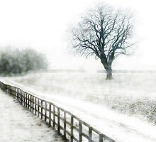 Snow flurries by Jenifer Wallis