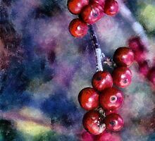 A Colorful Life by Anthony M. Davis