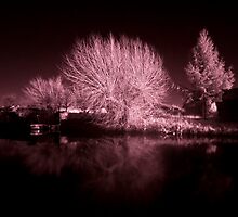 Loughborough Canal IR by Yhun Suarez