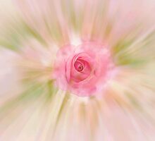 ROSES ARE RED...NOT THIS ONE by Sherri Nicholas