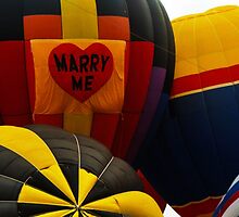 Marry Me by Debra Fedchin