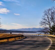 To Be Alive by Pamela Phelps