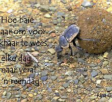 Na die reën... by Rina Greeff